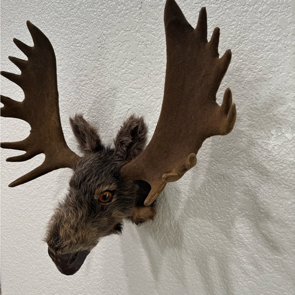 Brown Moose Head Wall Decor